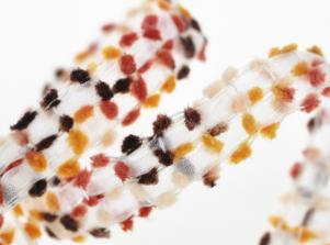 CT599毛毛紗穿雪紗帶  FANCY ORGANDY BRAID