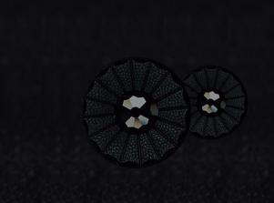 7204顆粒太陽花瓣NYLON BUTTON