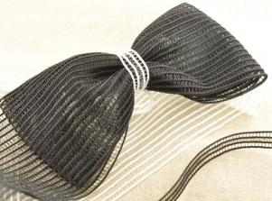 CT610網狀鬆緊帶INSIDE BELT/SHIRRING TAPE